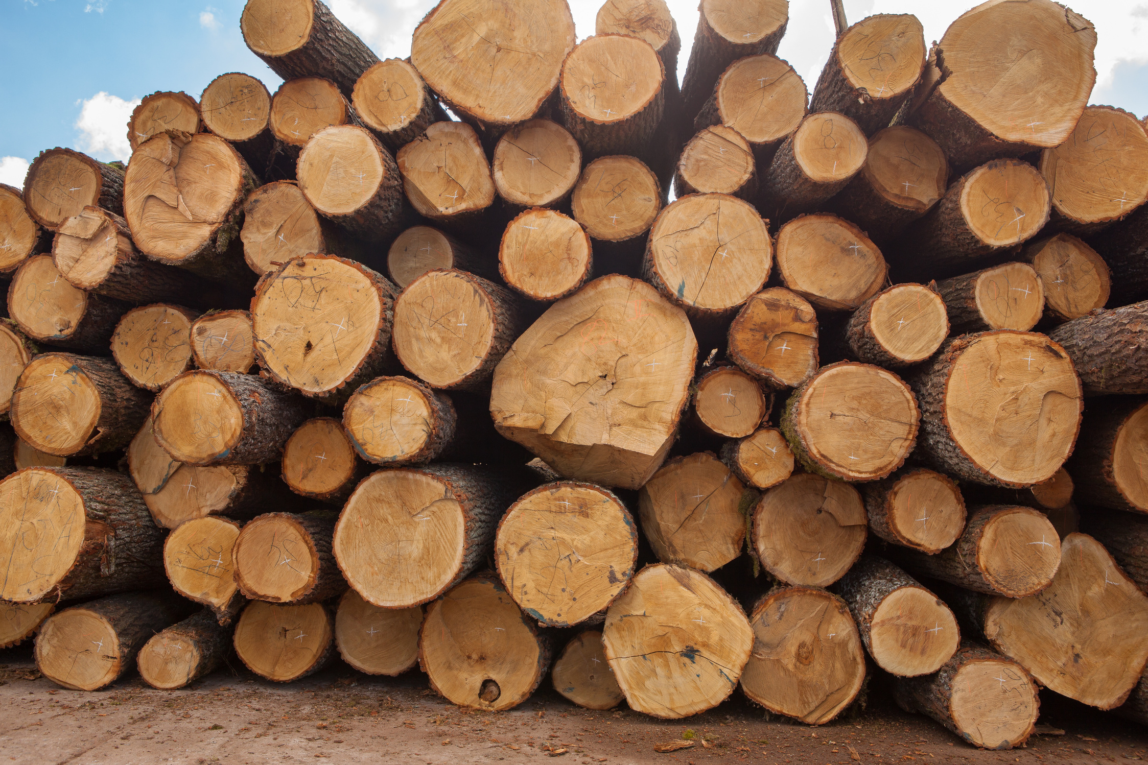 Woodworking, furniture production, furniture, wood, wood furniture production